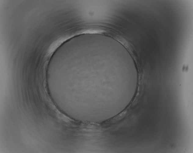 X0000113230337200910081411