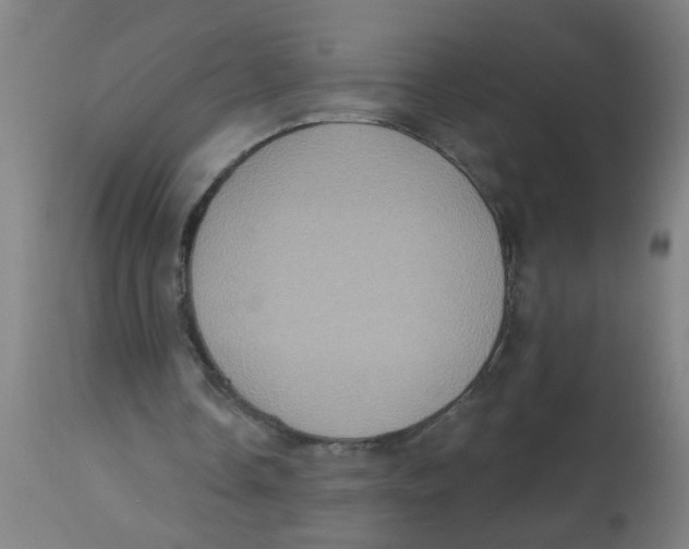 X0000113230338200910081411