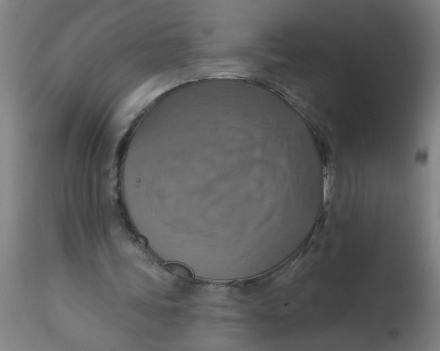 X0000113230339200910081411