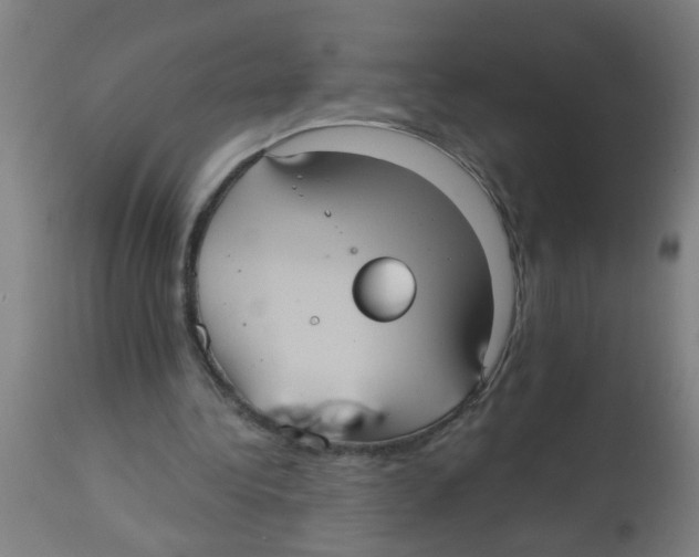 X0000113230340200910081411