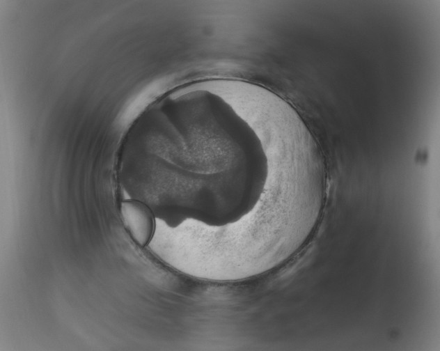 X0000113230341200910081411