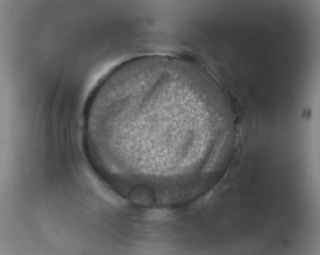 X0000113230342200910081411