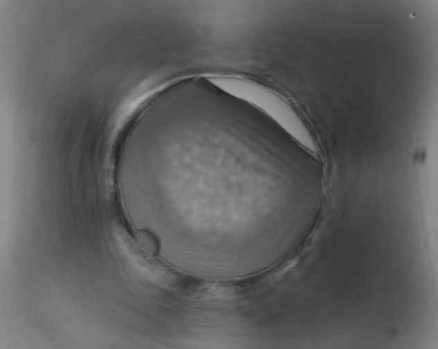 X0000113230343200910081411