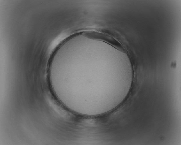 X0000113230344200910081411