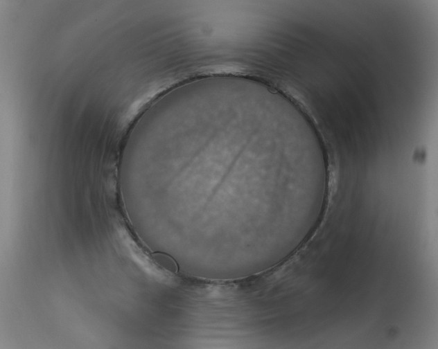 X0000113230345200910081411