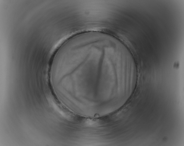 X0000113230346200910081411