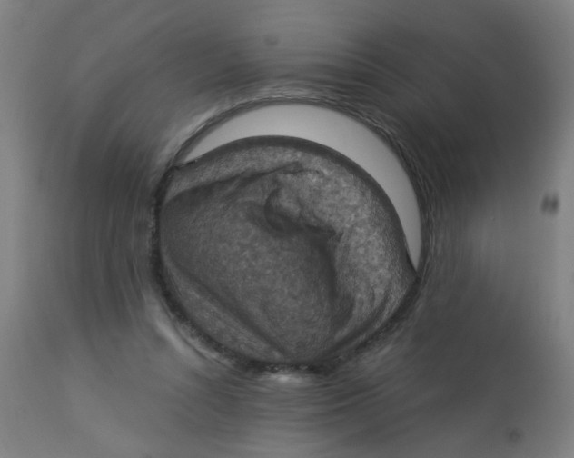 X0000113230352200910081411