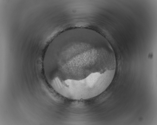 X0000113230354200910081411