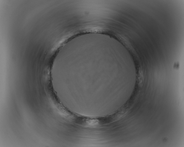 X0000113230355200910081411