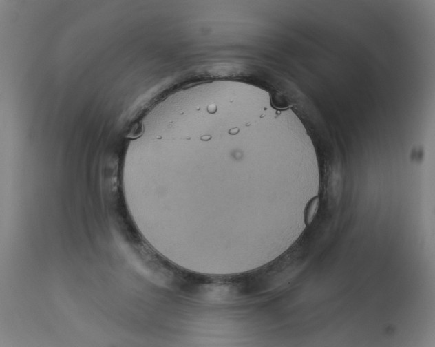 X0000113230356200910081411