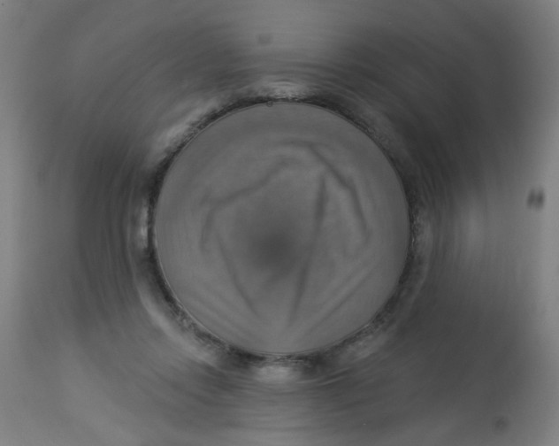 X0000113230358200910081411