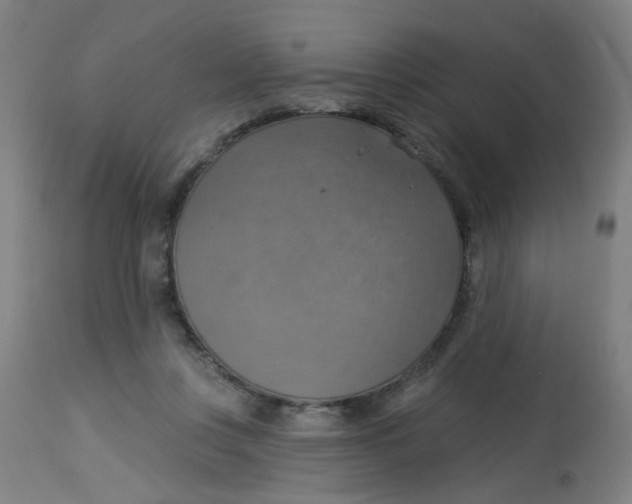 X0000113230359200910081411