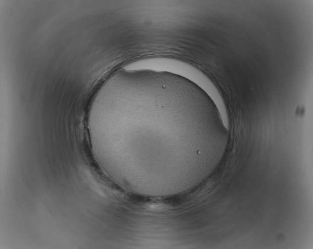 X0000113230360200910081411