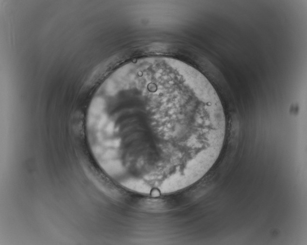 X0000113230361200910081411