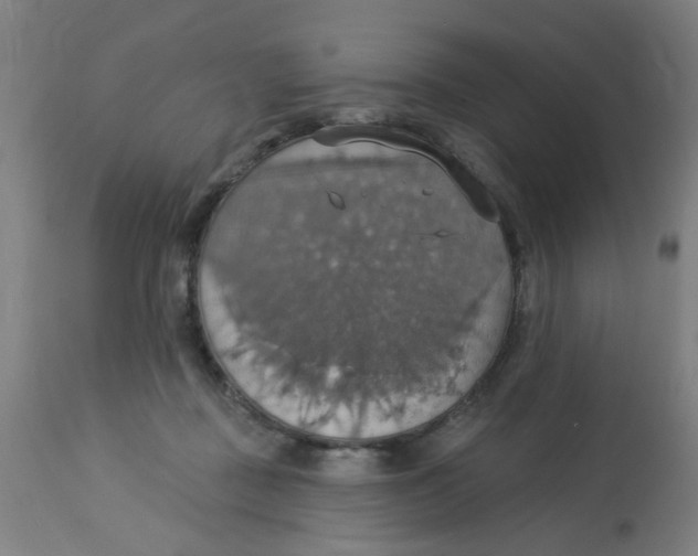 X0000113230363200910081411