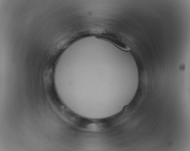 X0000113230364200910081411