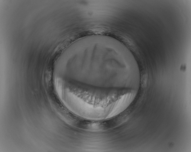 X0000113230365200910081411