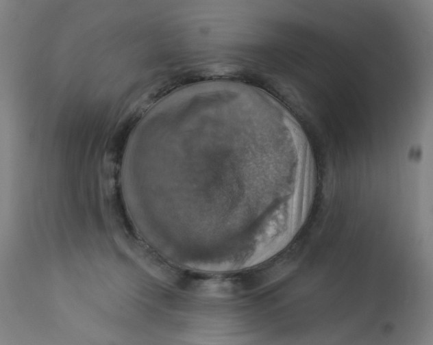 X0000113230366200910081411