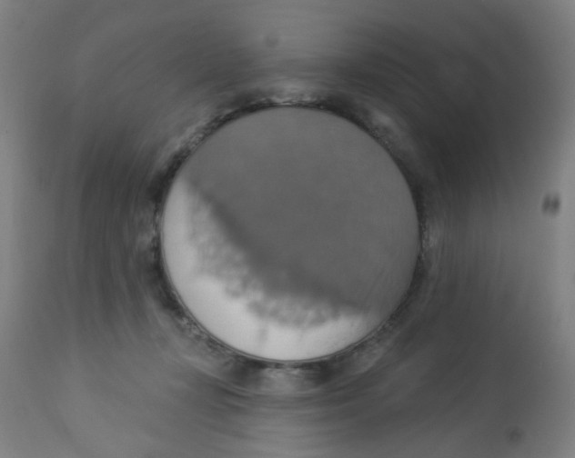 X0000113230367200910081411