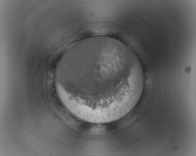 X0000113230369200910081411