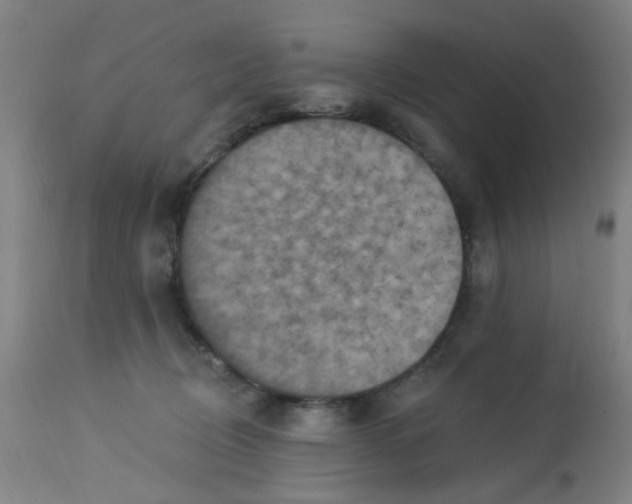 X0000113230370200910081411