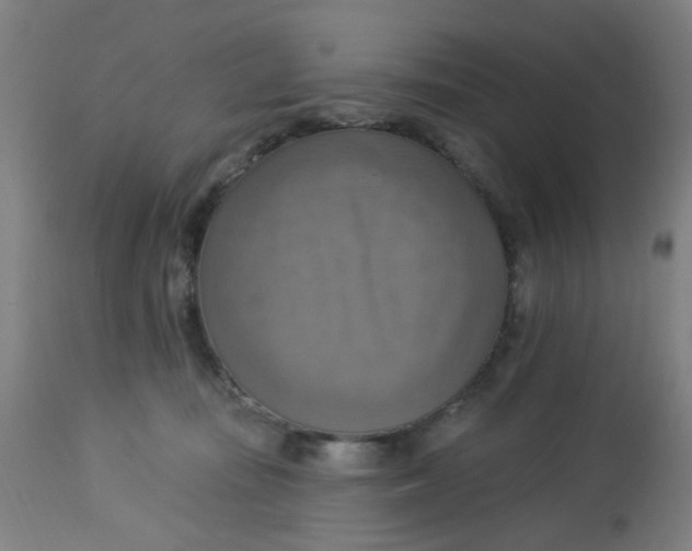 X0000113230371200910081411