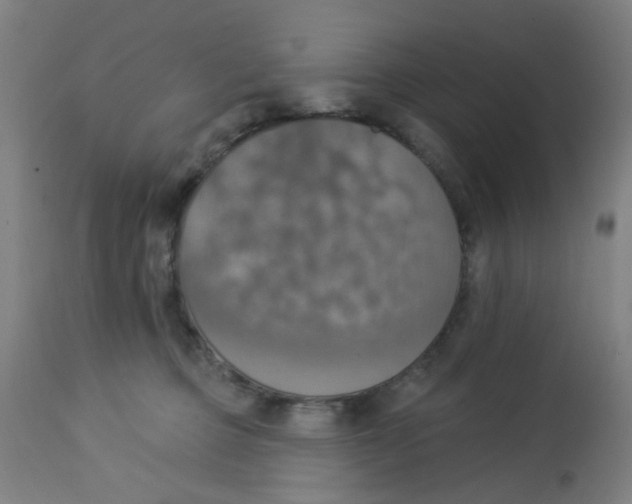 X0000113230373200910081411