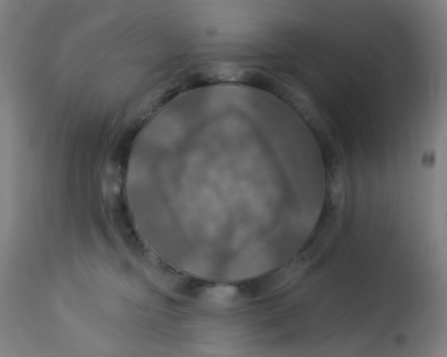 X0000113230374200910081411