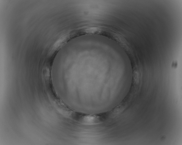 X0000113230375200910081411