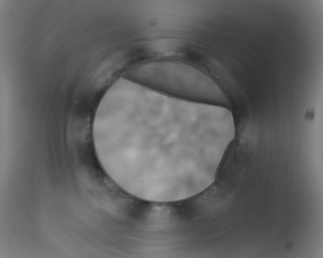 X0000113230376200910081411