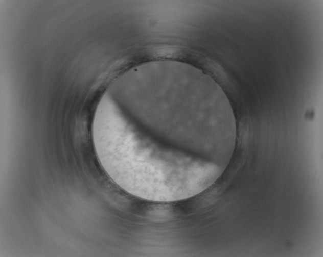 X0000113230377200910081411