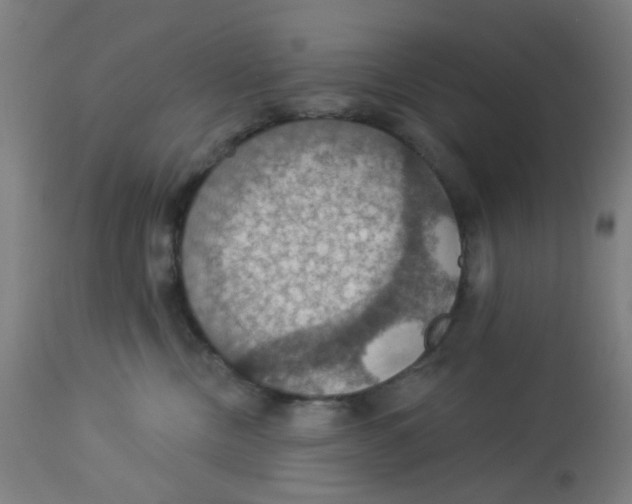 X0000113230378200910081411