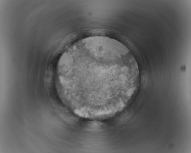 X0000113230379200910081411