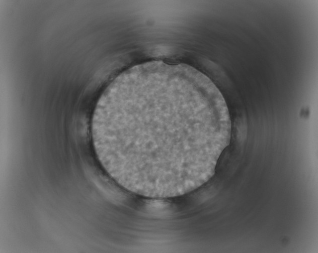 X0000113230380200910081411