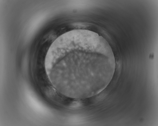 X0000113230381200910081411