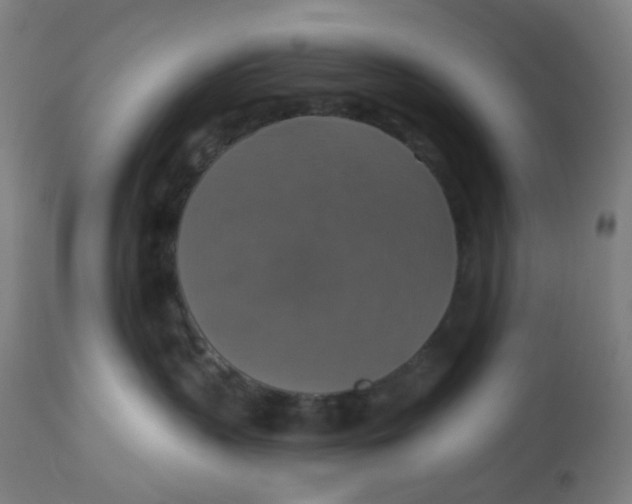 X0000113230383200910081412