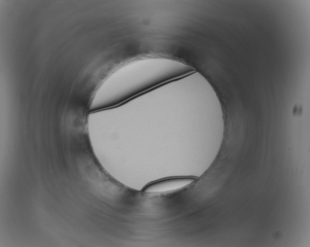 X0000113230384200910081412