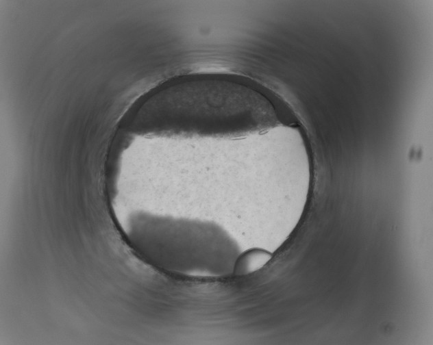 X0000113230385200910081411