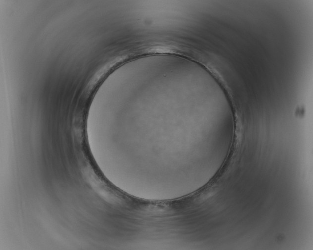 X0000113230386200910081411