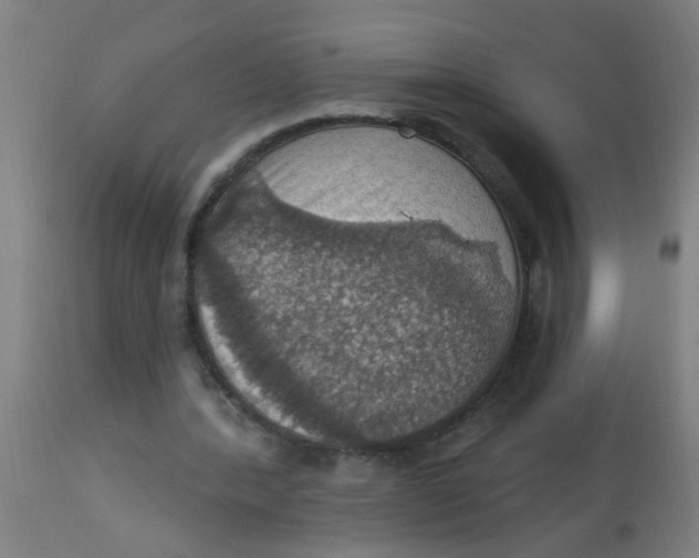 X0000113230388200910081411