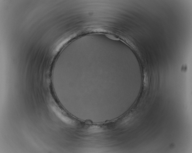 X0000113230390200910081411