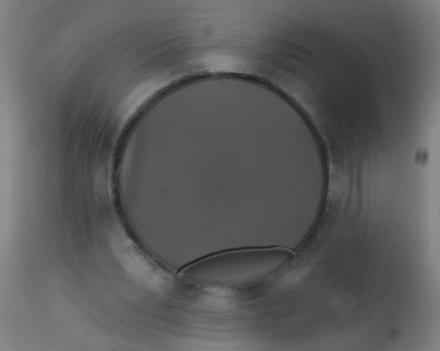 X0000113230391200910081411