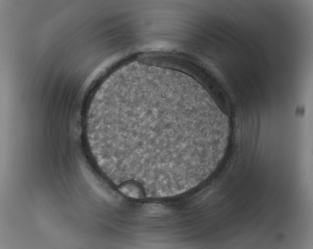 X0000113230392200910081411