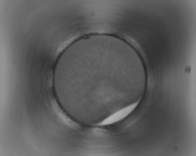 X0000113230393200910081411