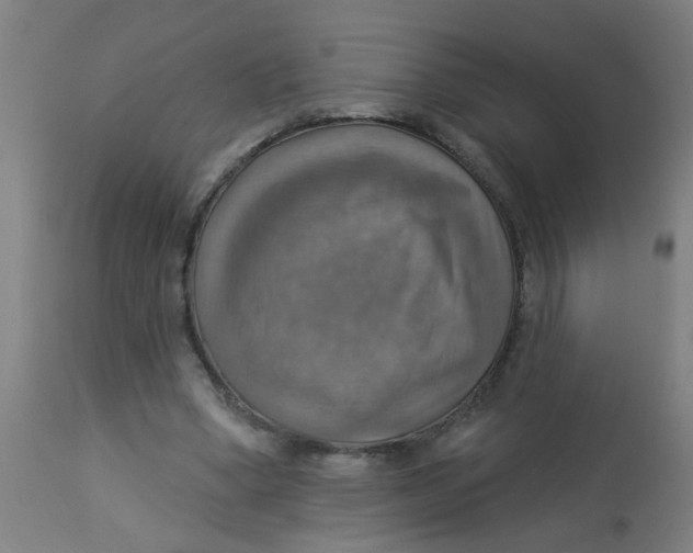 X0000113230394200910081411