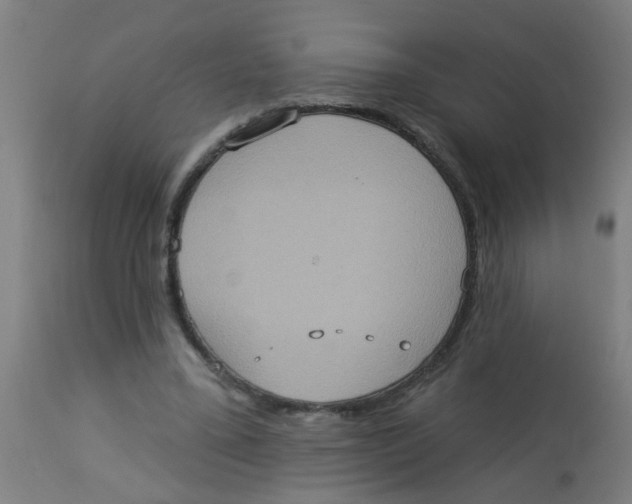 X0000113230395200910081411