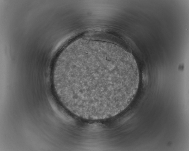 X0000113230396200910081411