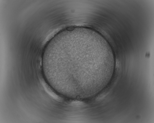 X0000113230397200910081411