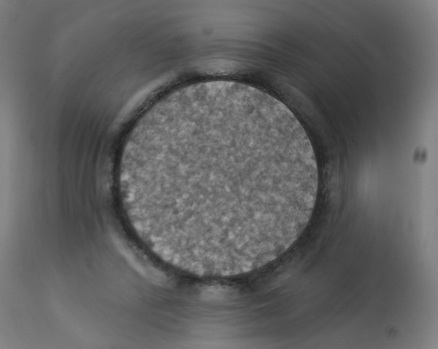 X0000113230400200910081411