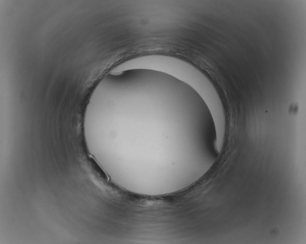 X0000113230401200910081411